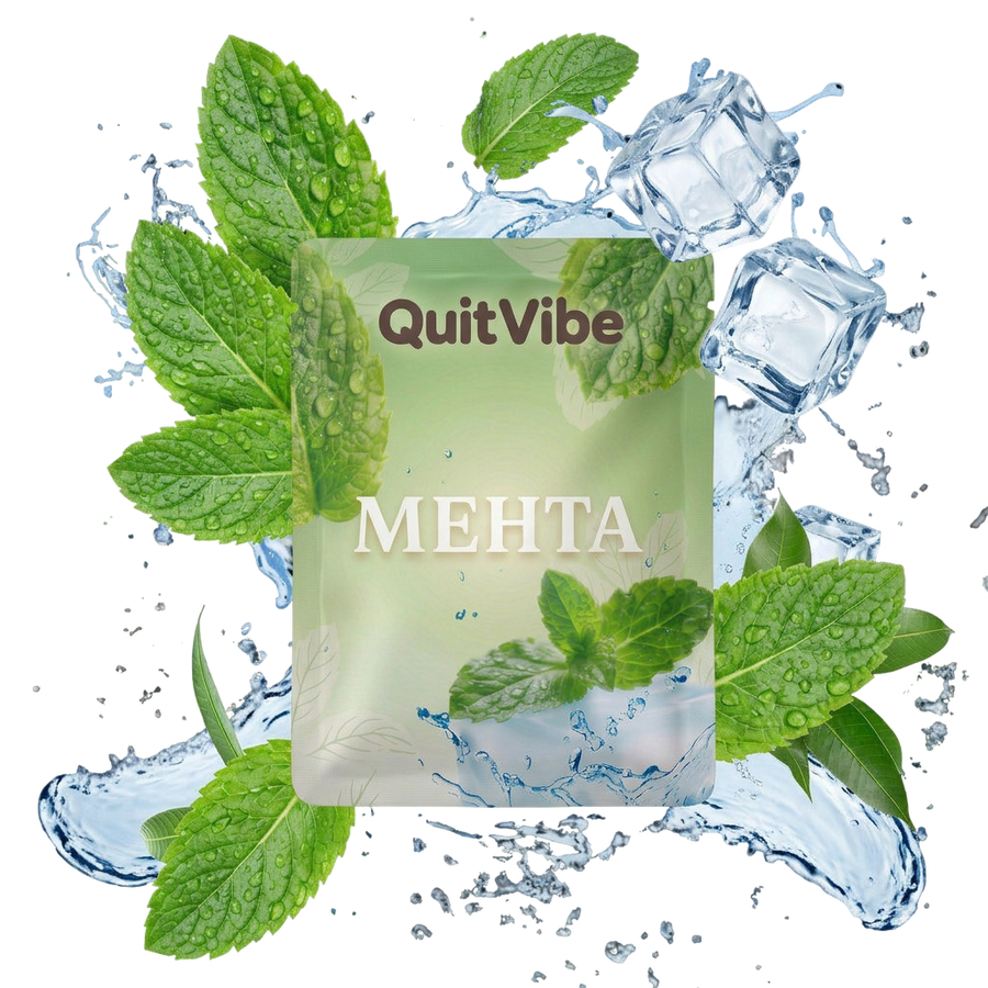 Мента